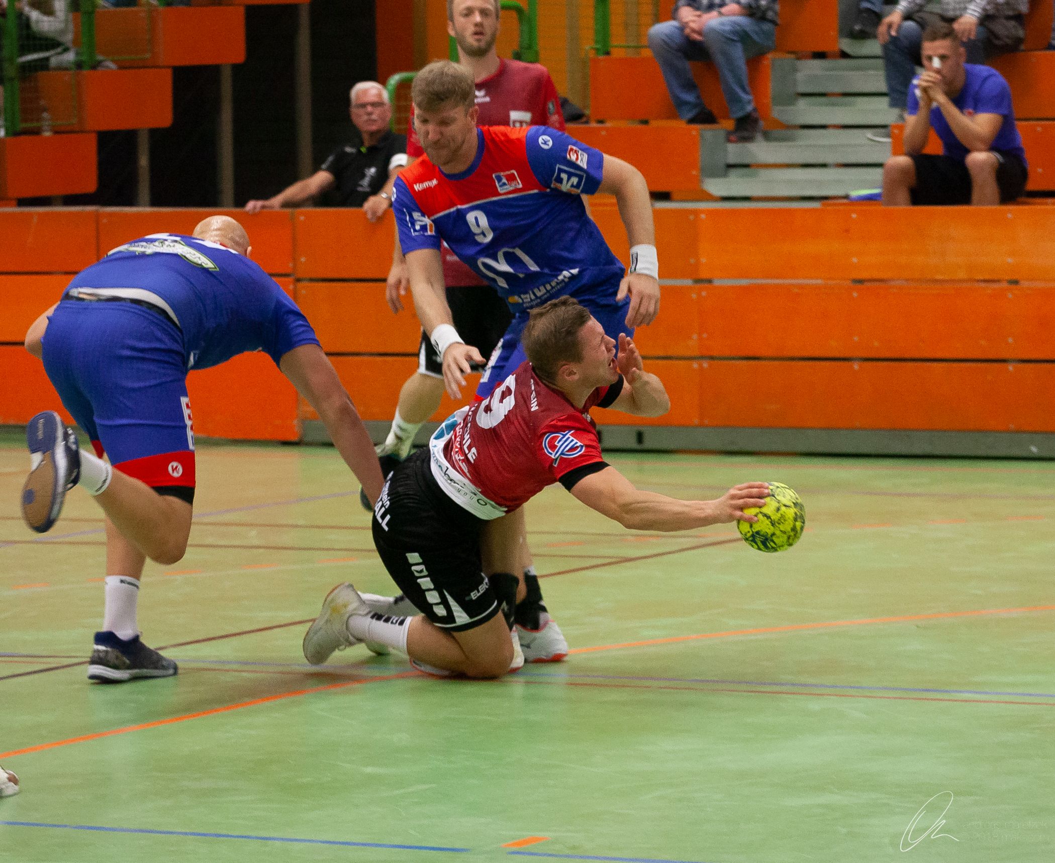 imageimg-0350.jpg