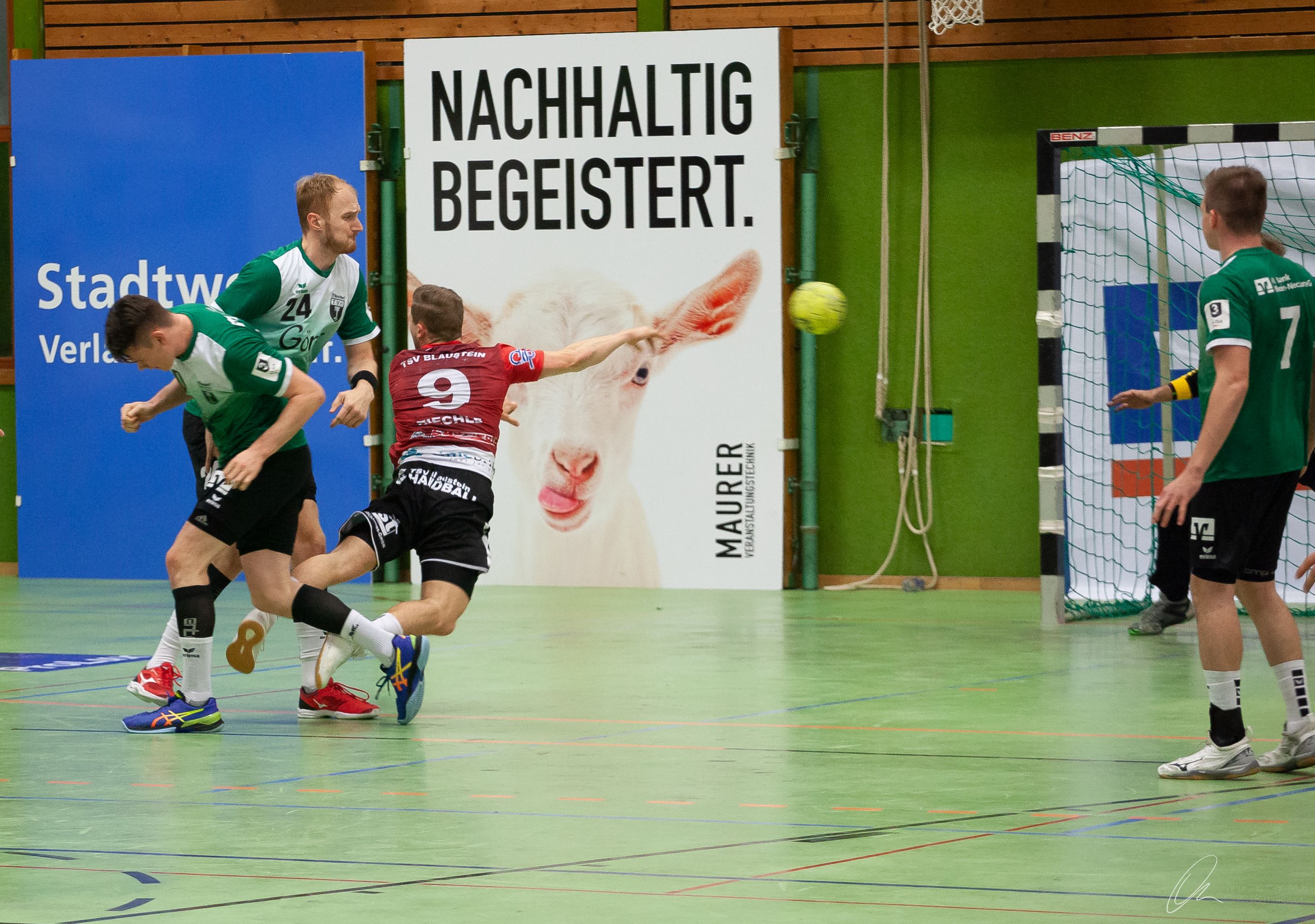 imageimg-2437.jpg